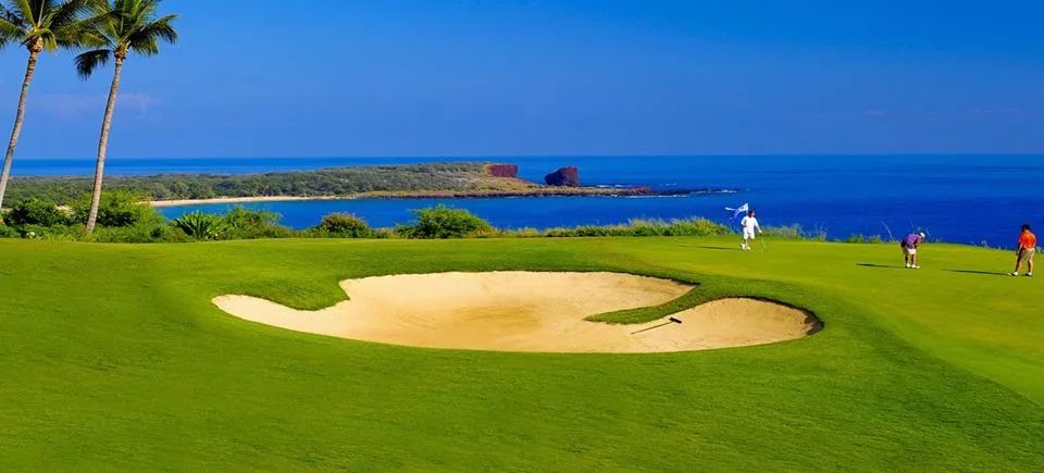 WeChat Image_20220826100457.jpg