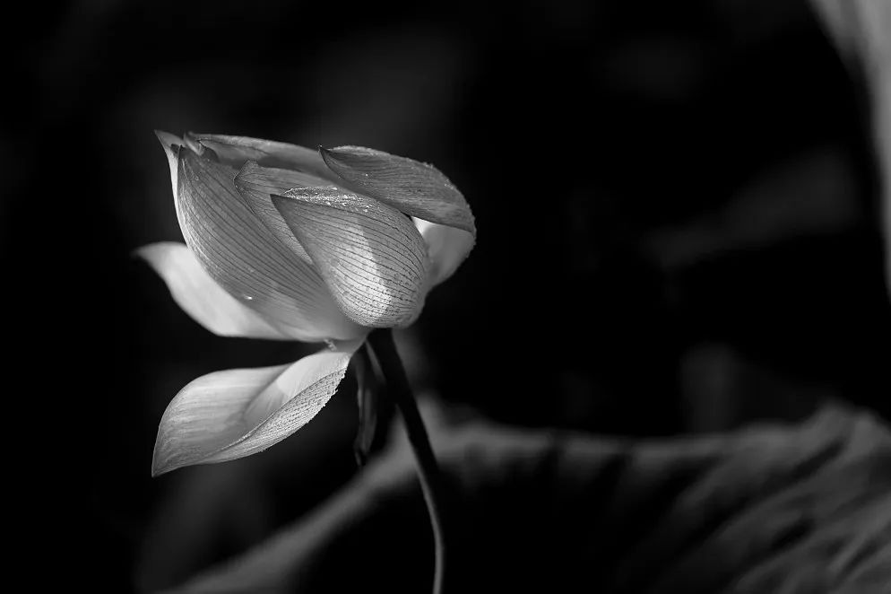 WeChat Image_20220907133127.jpg