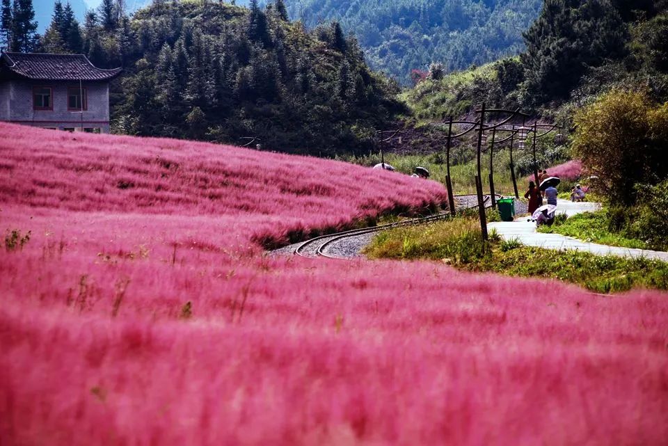 WeChat Image_20220921151810.jpg