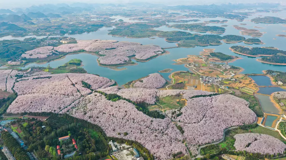 WeChat Image_20220921151817.png