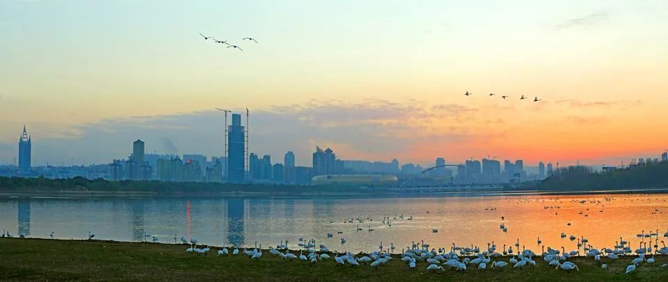 WeChat Image_20221007160620.jpg