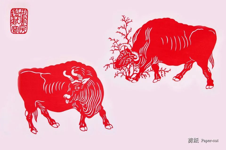 WeChat Image_20221007160629.jpg