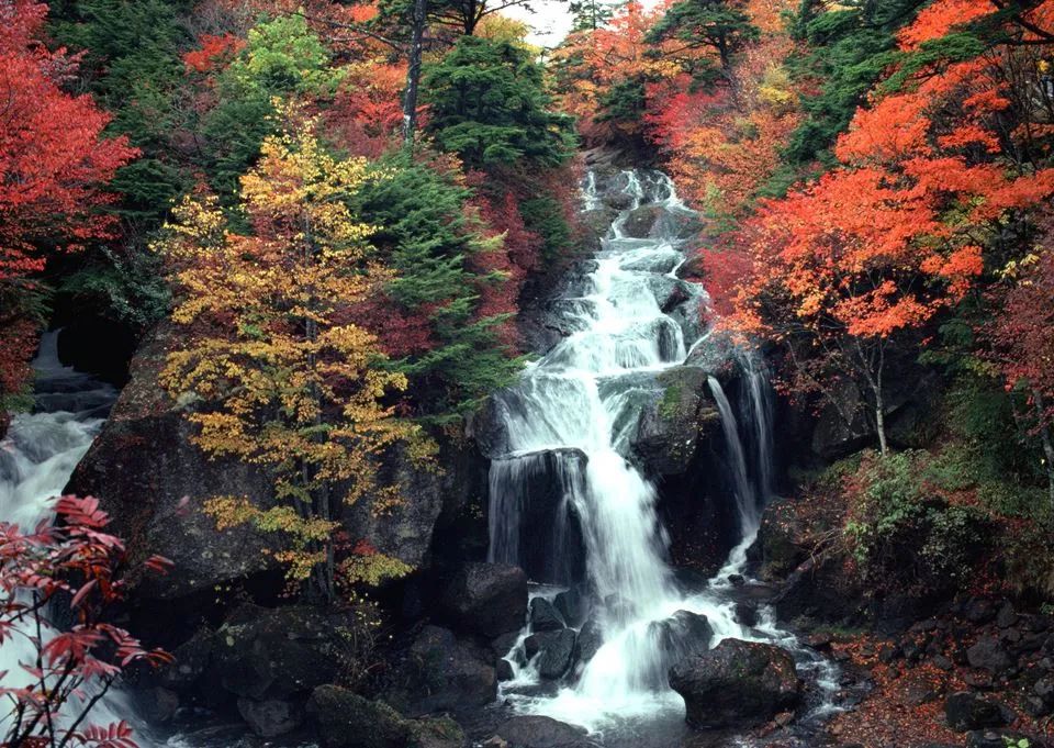 WeChat Image_20221007160632.jpg