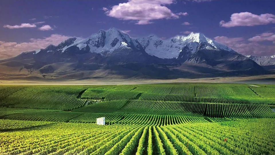 WeChat Image_20221028103025.jpg