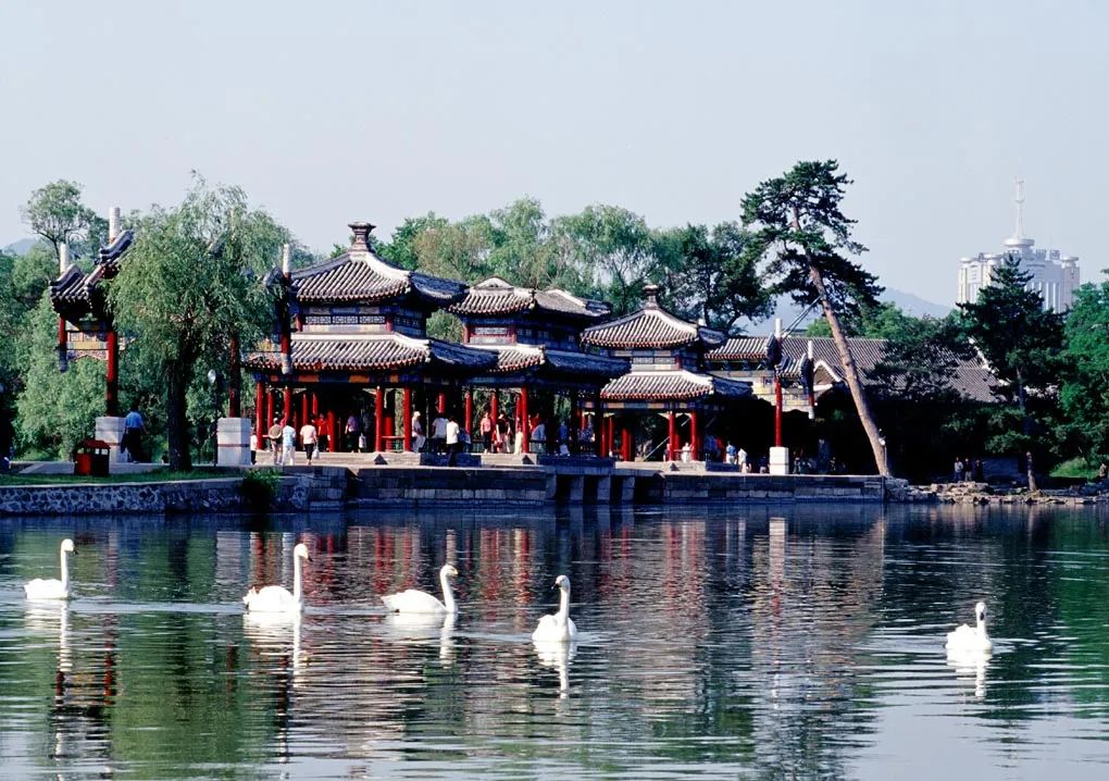 WeChat Image_20221103110418.jpg