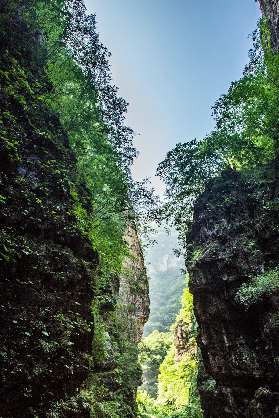 WeChat Image_20221103110515.jpg