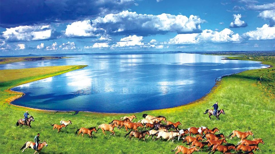 WeChat Image_20221104092617.jpg