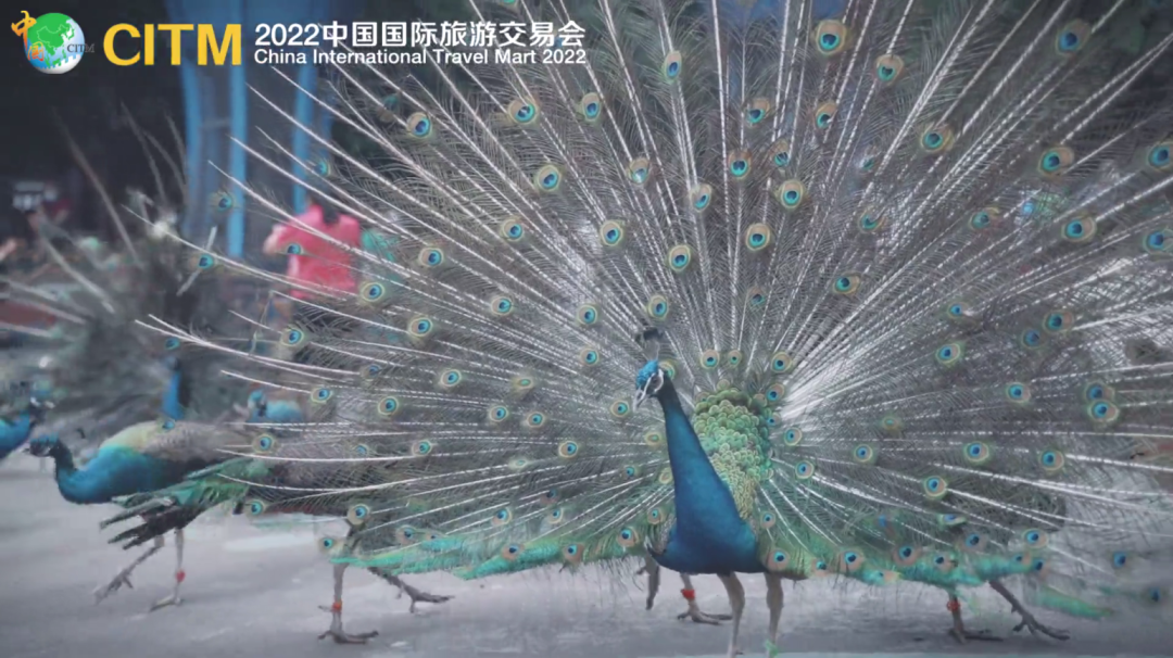 WeChat Image_20221104183050.png