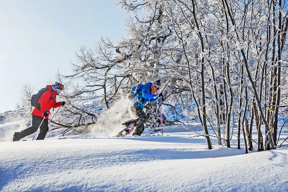 WeChat Image_20221221100359.jpg