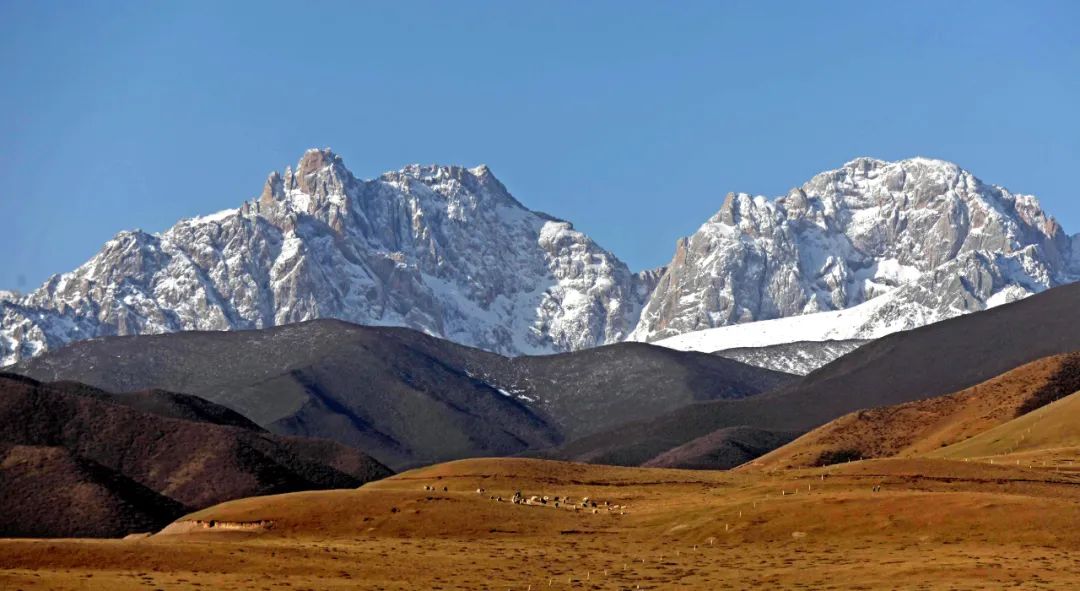 WeChat Image_20230220102147.jpg