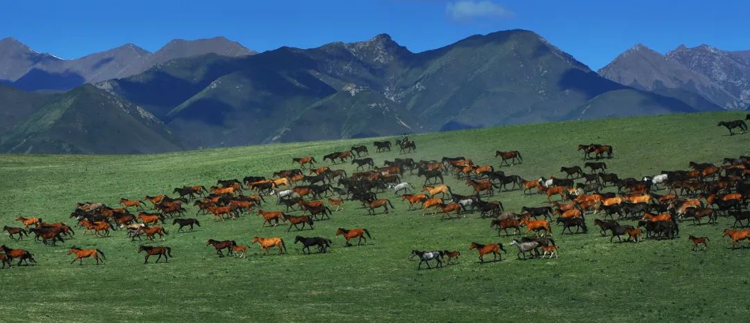 WeChat Image_20230220102152.jpg