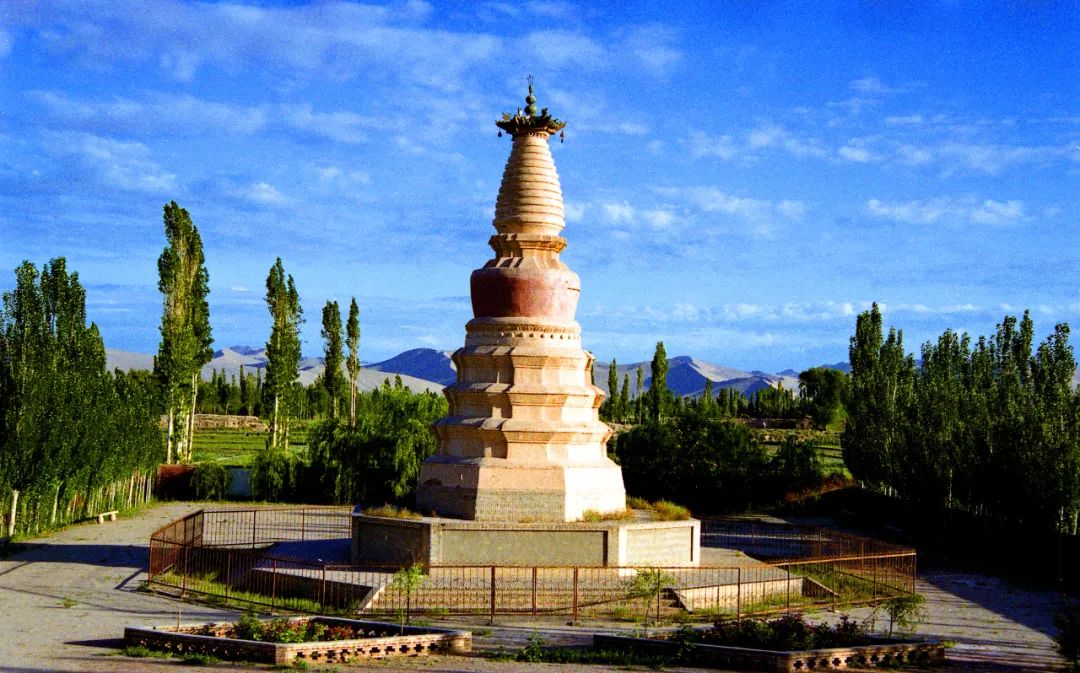 WeChat Image_20230224143646.jpg