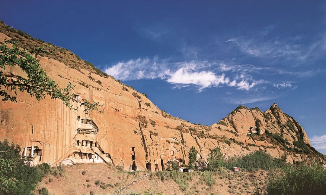 WeChat Image_20230224143657.jpg