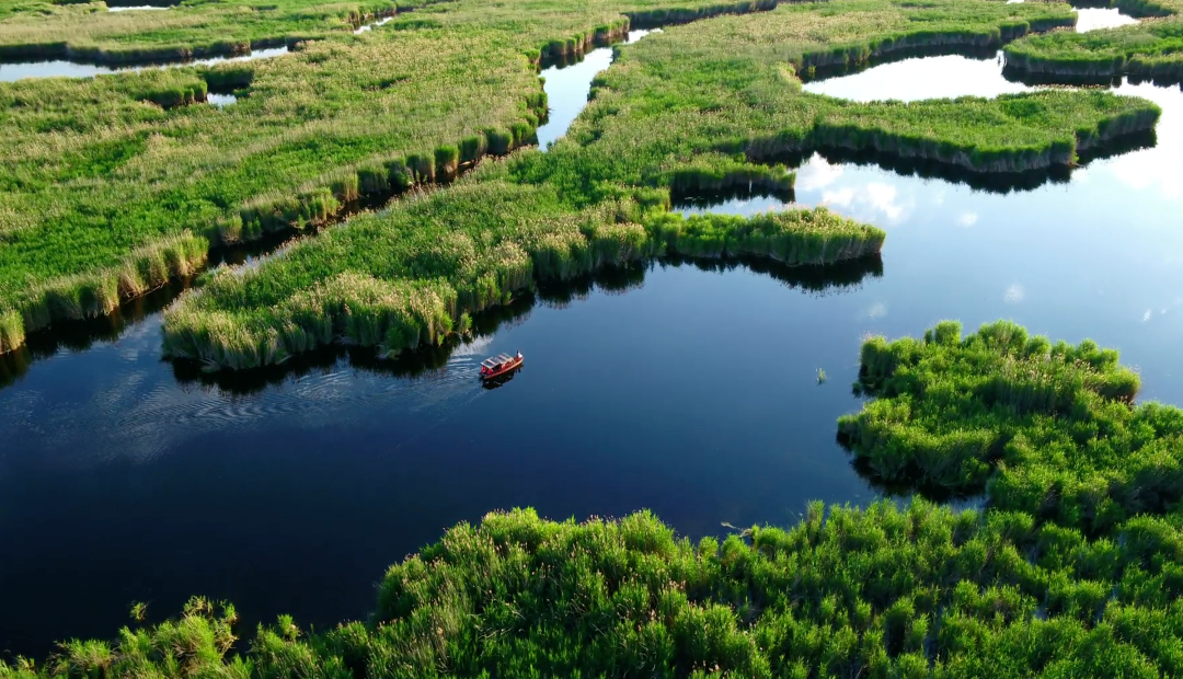 WeChat Image_20230303111123.png