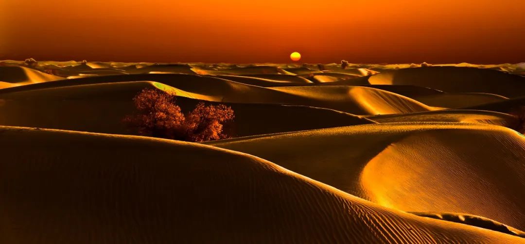 WeChat Image_20230303111128.jpg