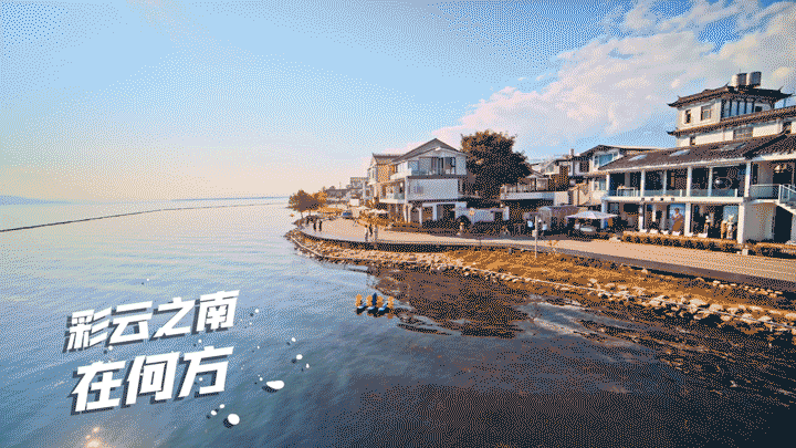 WeChat Image_20230306093632.gif