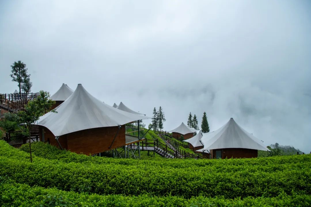 WeChat Image_20230502093851.jpg