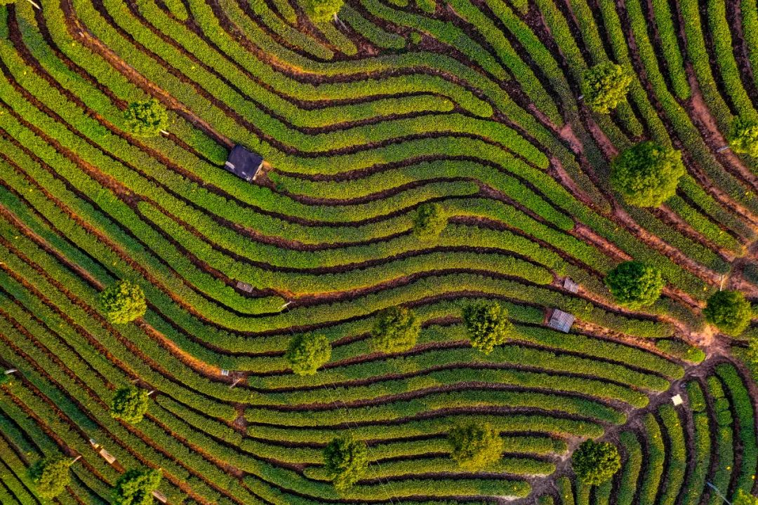 WeChat Image_20230502093854.jpg