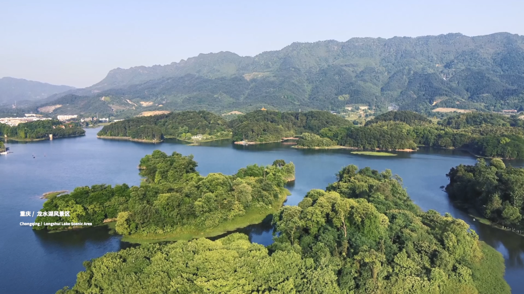 WeChat Image_20230623100503.png