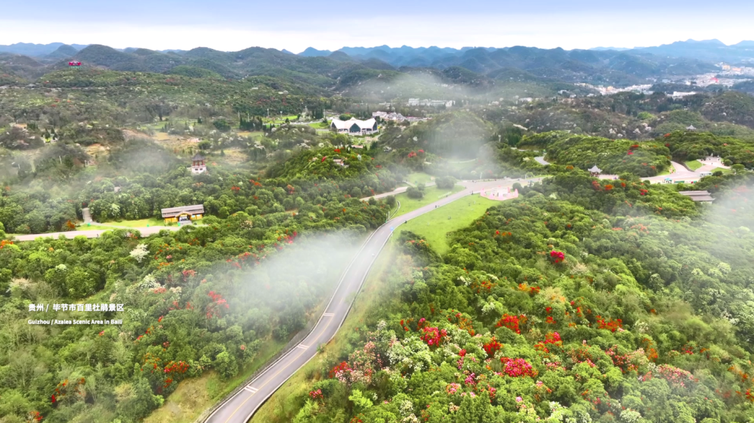 WeChat Image_20230623103415.png