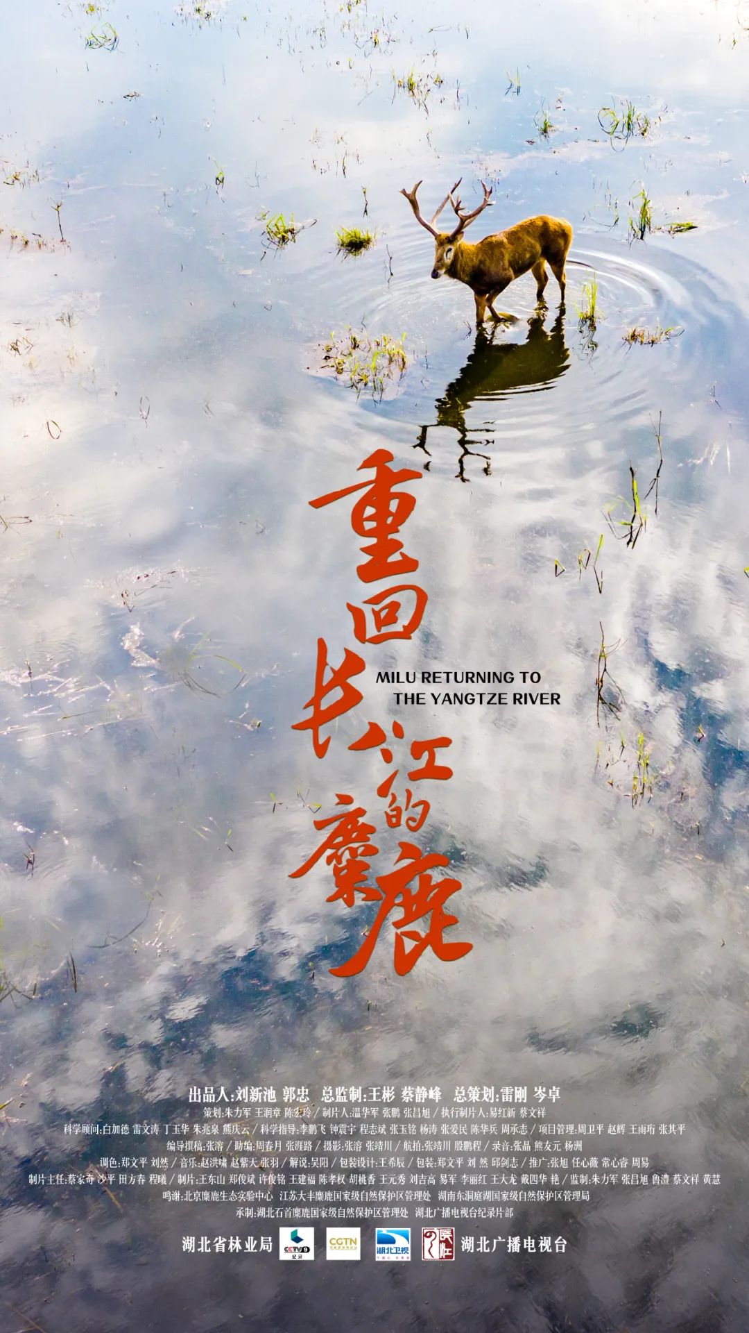 WeChat Image_20230627093003.jpg