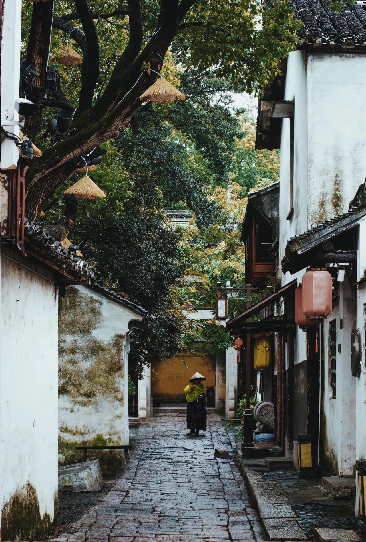 WeChat Image_20240418140307.jpg