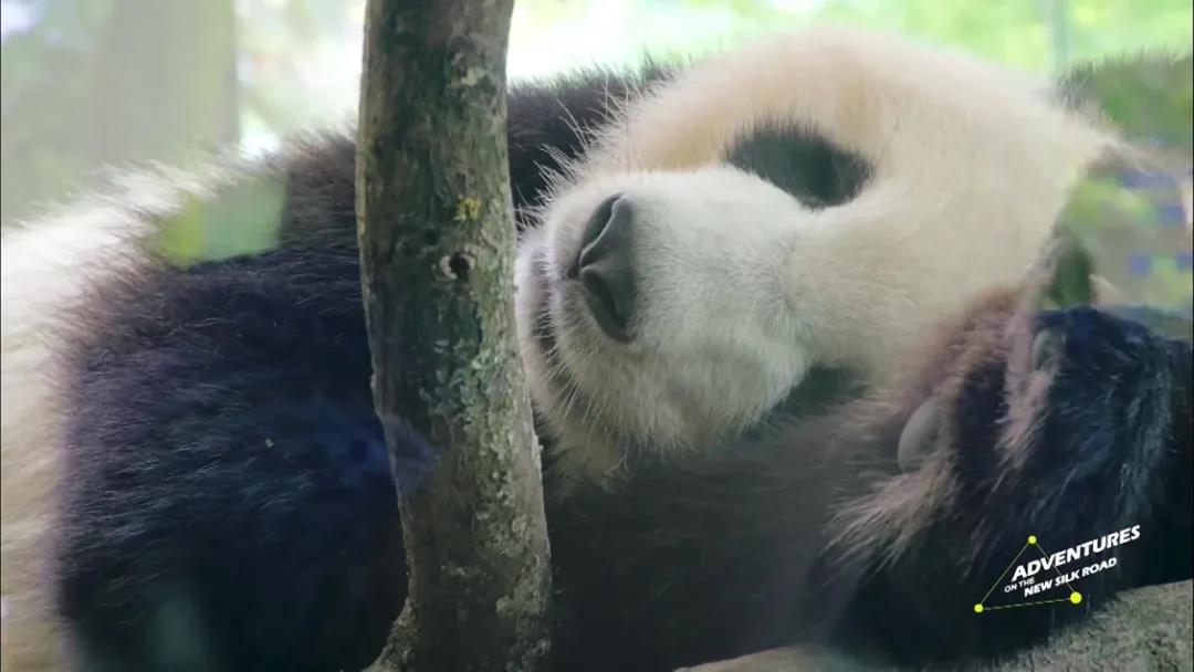 WeChat Image_20210613091626.jpg