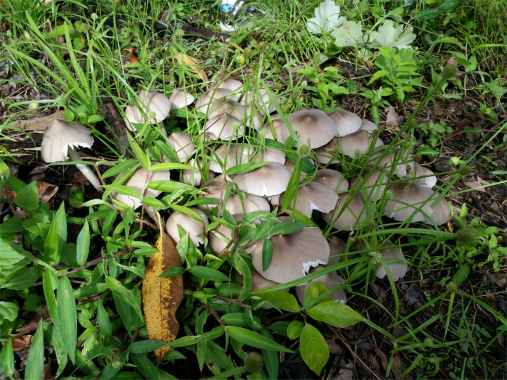 WeChat Image_20220416094721.png