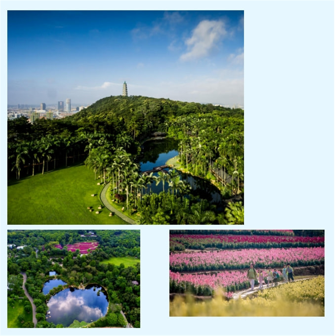 photo_2024-08-28_14-31-46 (3).jpg