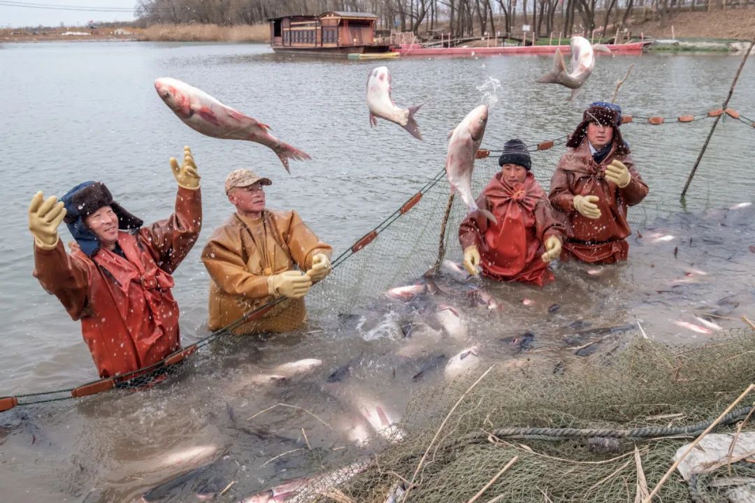 Image_20240516110430.jpg