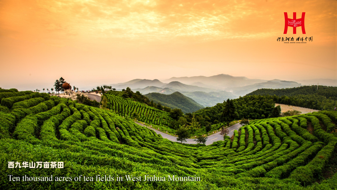 Image_20250904094239.png Image_20250904094239.png