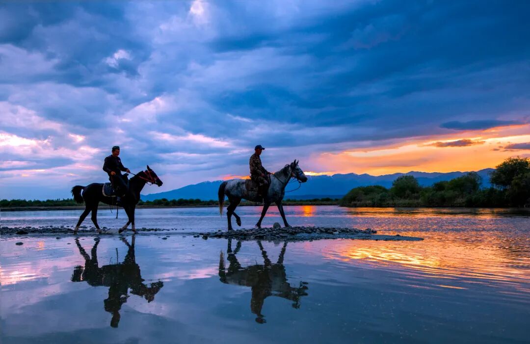 Image_20250924120317.jpg Image_20250924120317.jpg