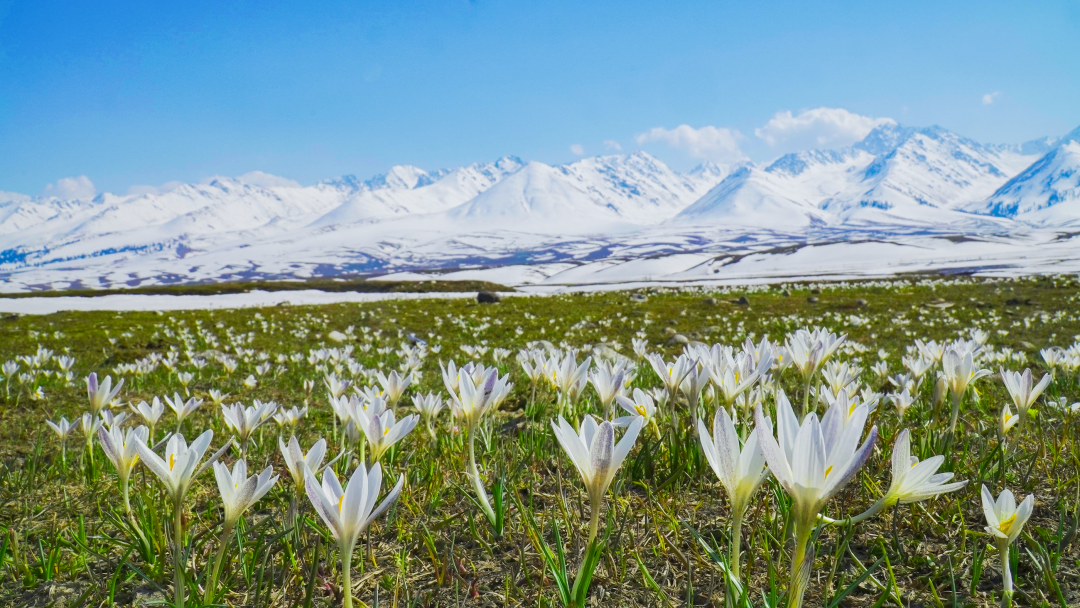 Image_20250924120401.png Image_20250924120401.png