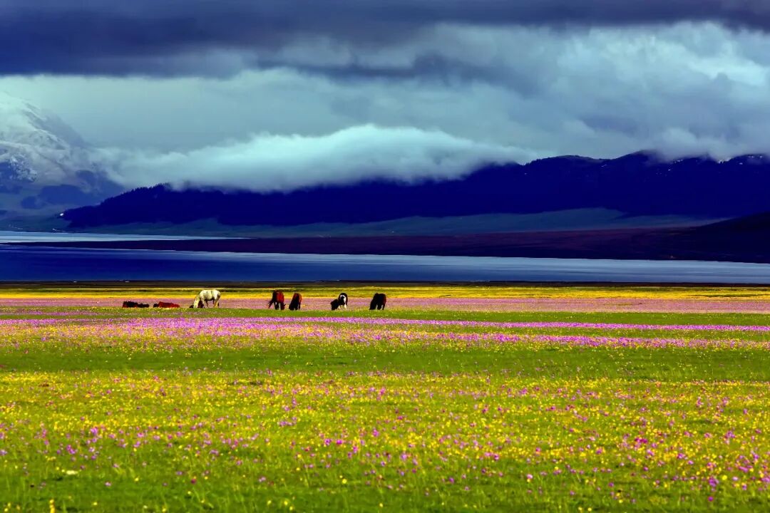 Image_20250924120404.jpg Image_20250924120404.jpg