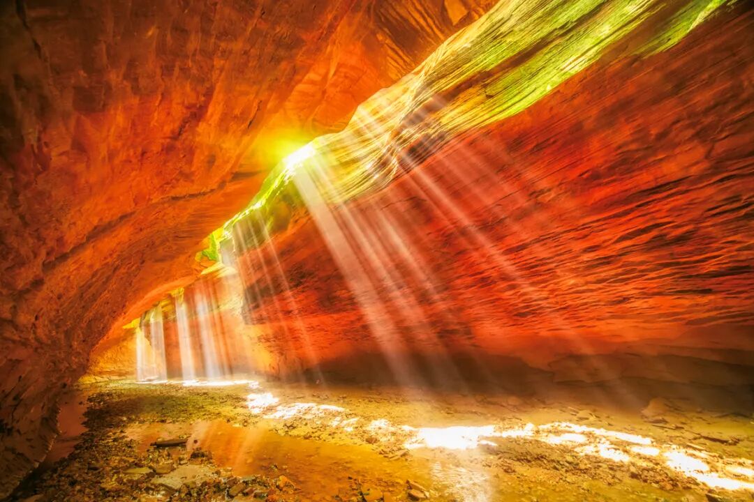 Image_20251008150820.jpg Image_20251008150820.jpg