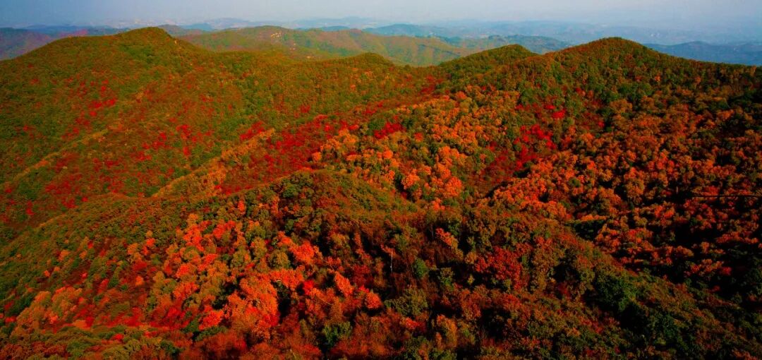 Image_20251127142515.jpg Image_20251127142515.jpg