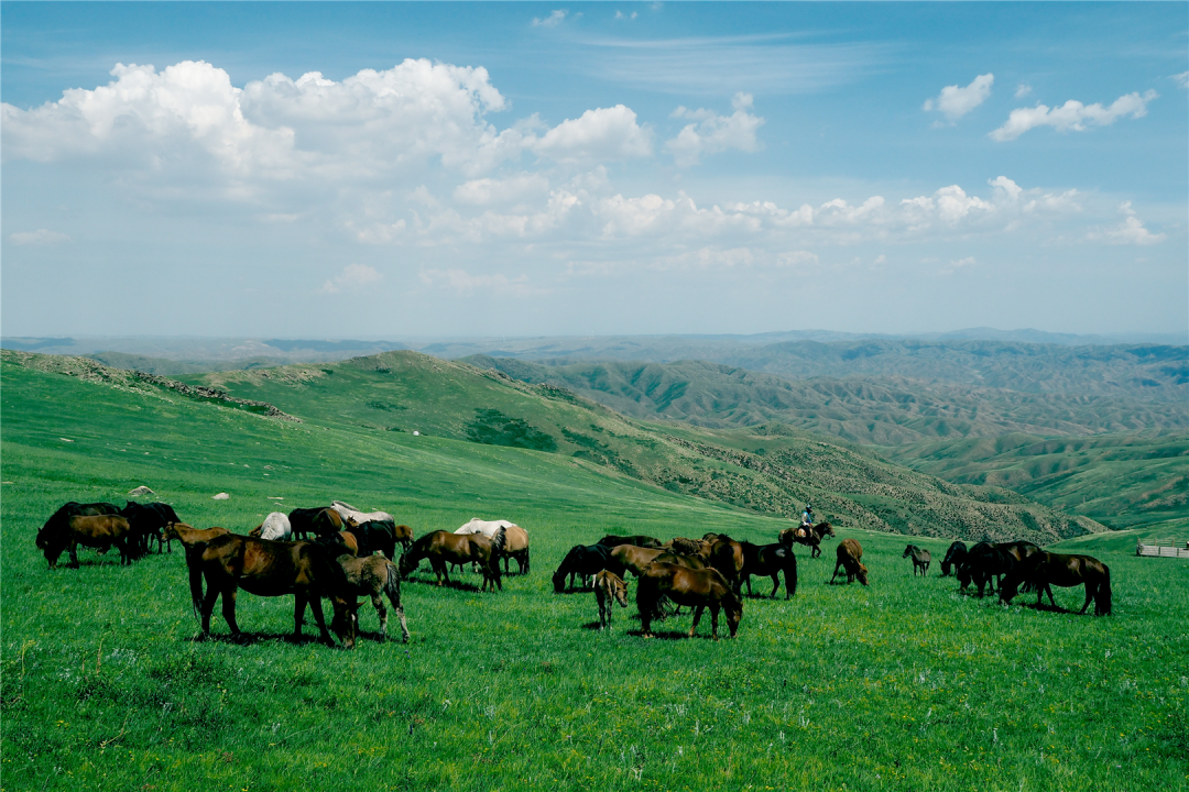 Image_20251204141919.png Image_20251204141919.png