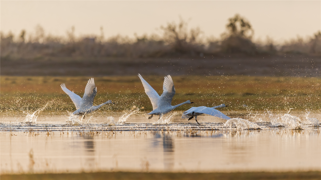 Image_20251204141940.png Image_20251204141940.png