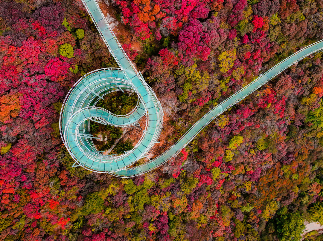 Image_20251205140620.png Image_20251205140620.png