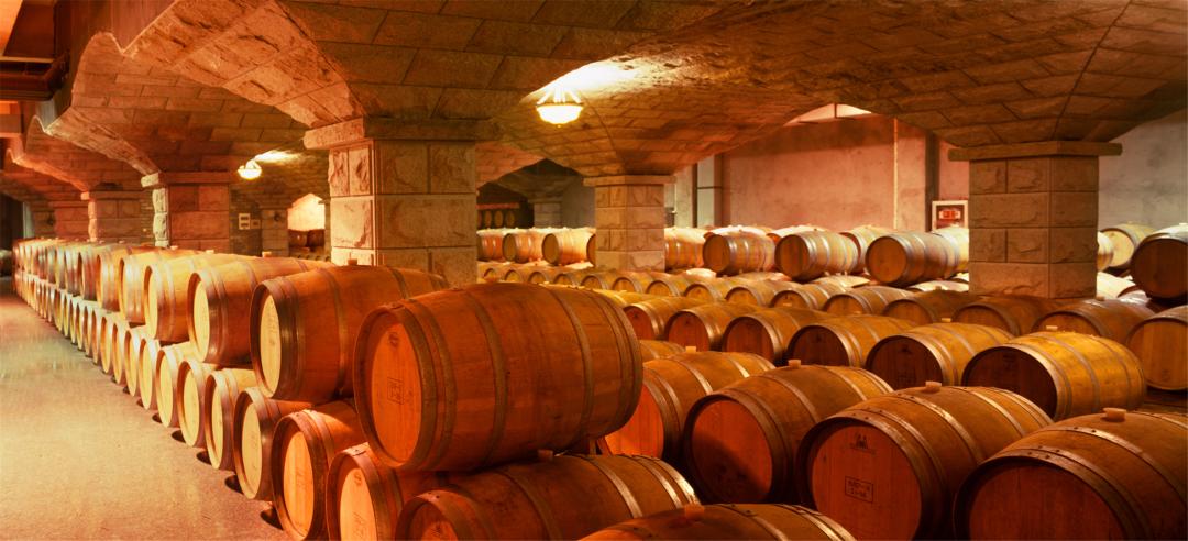 Image_20251205140745.png Image_20251205140745.png