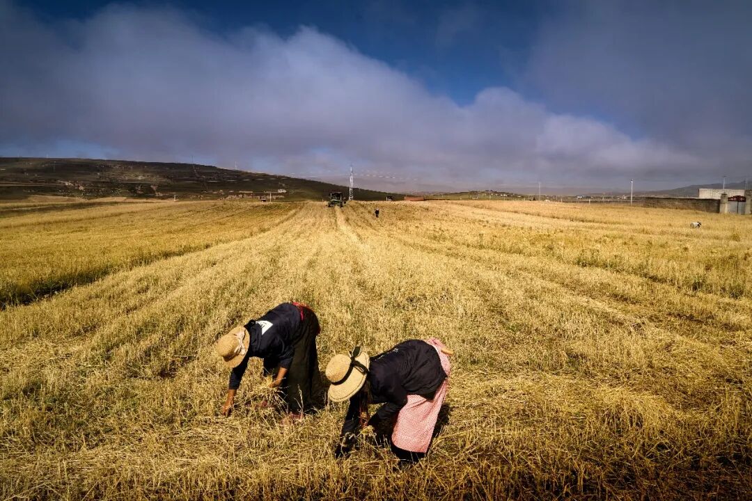 Image_20251223104555.jpg Image_20251223104555.jpg