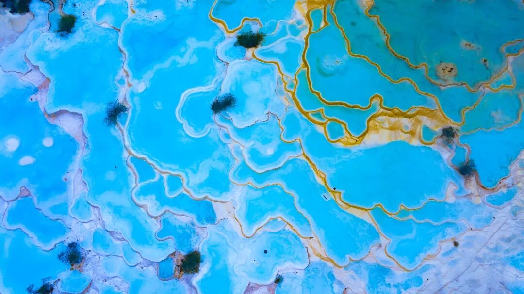 Image_20251223104616.jpg Image_20251223104616.jpg