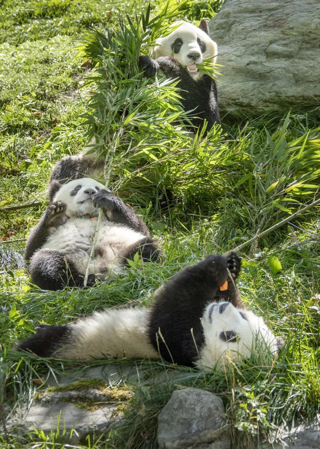 Image_20251223104619.jpg Image_20251223104619.jpg