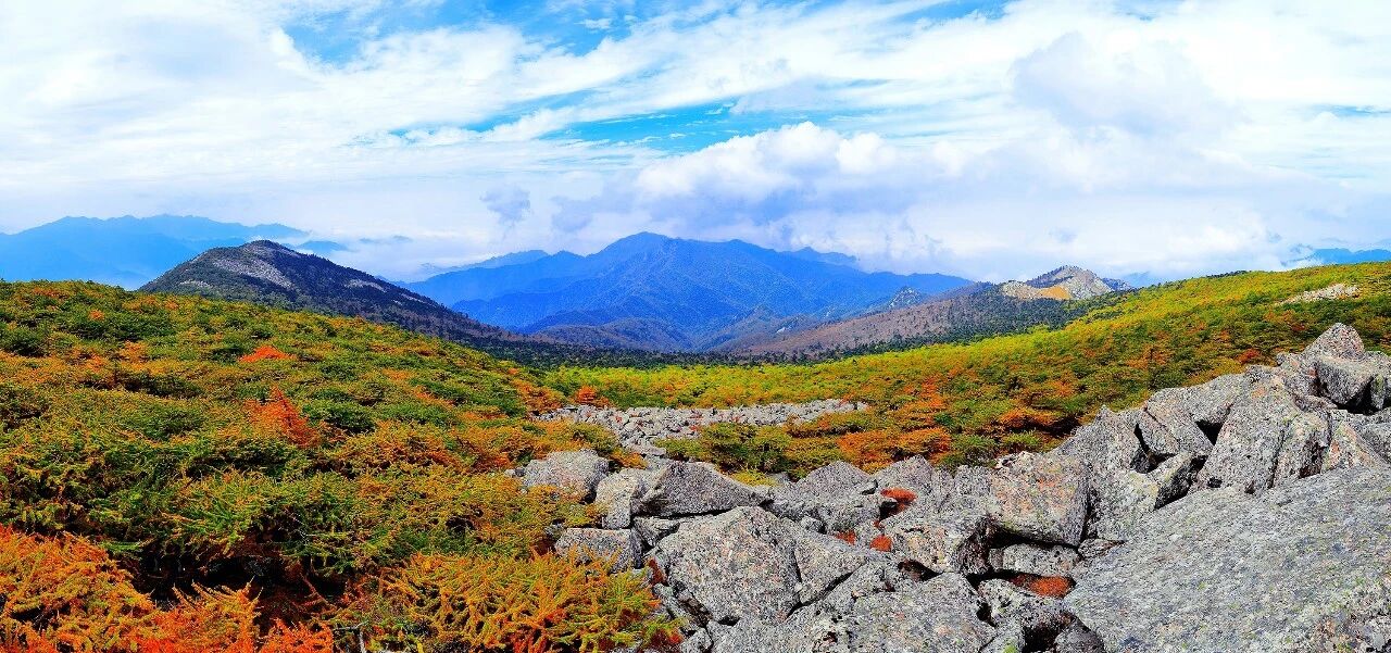 Image_20260102154507.jpg Image_20260102154507.jpg