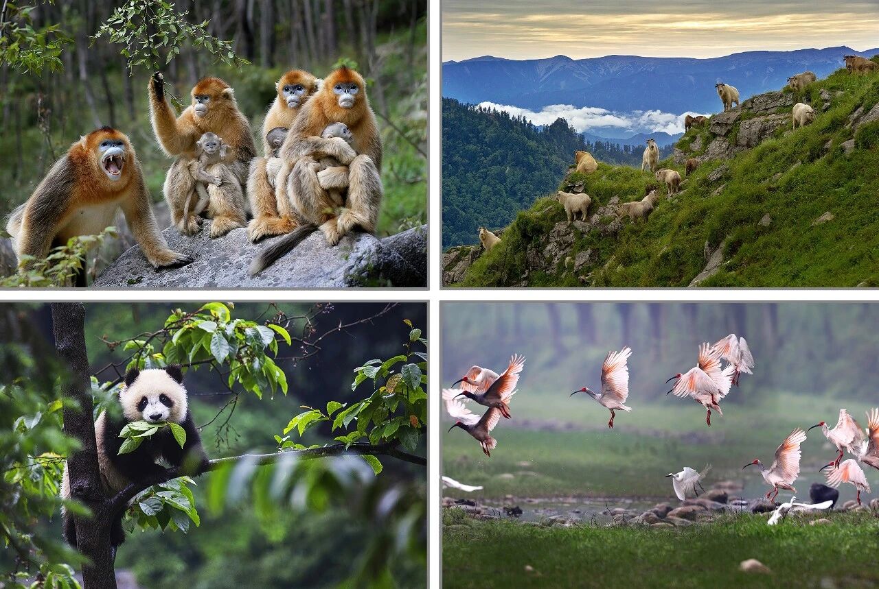 Image_20260102154513.jpg Image_20260102154513.jpg