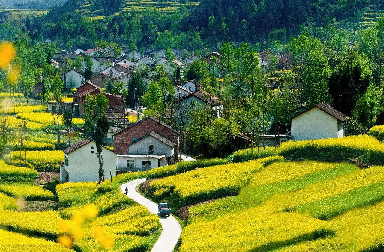 Image_20260102154525.jpg Image_20260102154525.jpg