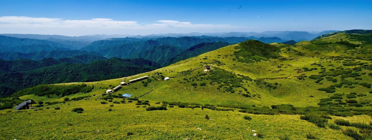 Image_20260102154533.jpg Image_20260102154533.jpg