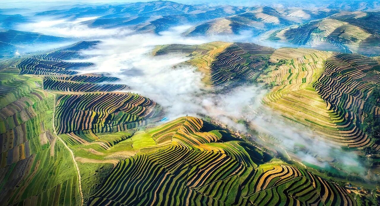 Image_20260102154642.jpg Image_20260102154642.jpg