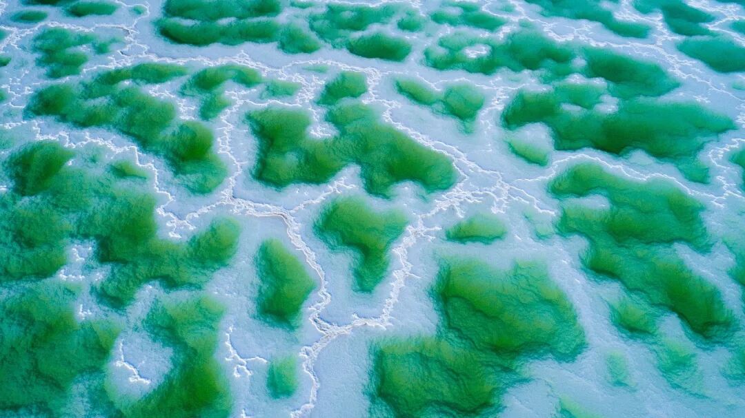 Image_20260102173136.jpg Image_20260102173136.jpg