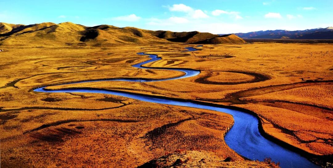 Image_20260106102925.jpg Image_20260106102925.jpg